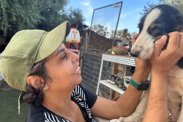 هيفاء رزاقي لـسبوتنيك: حلمي فتح مركز إيواء لكل الكلاب الضالة في الجزائر هيفاء رزاقي لـسبوتنيك: حلمي فتح مركز إيواء لكل الكلاب الضالة في الجزائر - سبوتنيك عربي