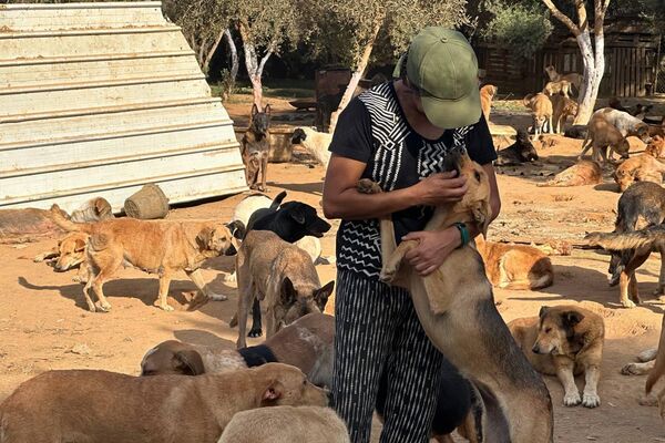 هيفاء رزاقي لـسبوتنيك: حلمي فتح مركز إيواء لكل الكلاب الضالة في الجزائر هيفاء رزاقي لـسبوتنيك: حلمي فتح مركز إيواء لكل الكلاب الضالة في الجزائر - سبوتنيك عربي