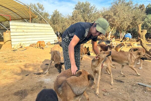 هيفاء رزاقي لـسبوتنيك: حلمي فتح مركز إيواء لكل الكلاب الضالة في الجزائر هيفاء رزاقي لـسبوتنيك: حلمي فتح مركز إيواء لكل الكلاب الضالة في الجزائر - سبوتنيك عربي