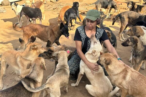 هيفاء رزاقي لـسبوتنيك: حلمي فتح مركز إيواء لكل الكلاب الضالة في الجزائر هيفاء رزاقي لـسبوتنيك: حلمي فتح مركز إيواء لكل الكلاب الضالة في الجزائر - سبوتنيك عربي