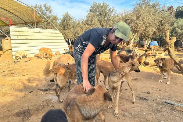 هيفاء رزاقي لـسبوتنيك: حلمي فتح مركز إيواء لكل الكلاب الضالة في الجزائر هيفاء رزاقي لـسبوتنيك: حلمي فتح مركز إيواء لكل الكلاب الضالة في الجزائر - سبوتنيك عربي