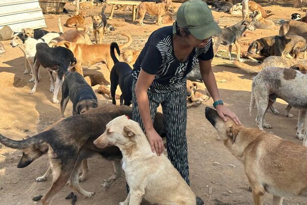 هيفاء رزاقي لـسبوتنيك: حلمي فتح مركز إيواء لكل الكلاب الضالة في الجزائر هيفاء رزاقي لـسبوتنيك: حلمي فتح مركز إيواء لكل الكلاب الضالة في الجزائر - سبوتنيك عربي