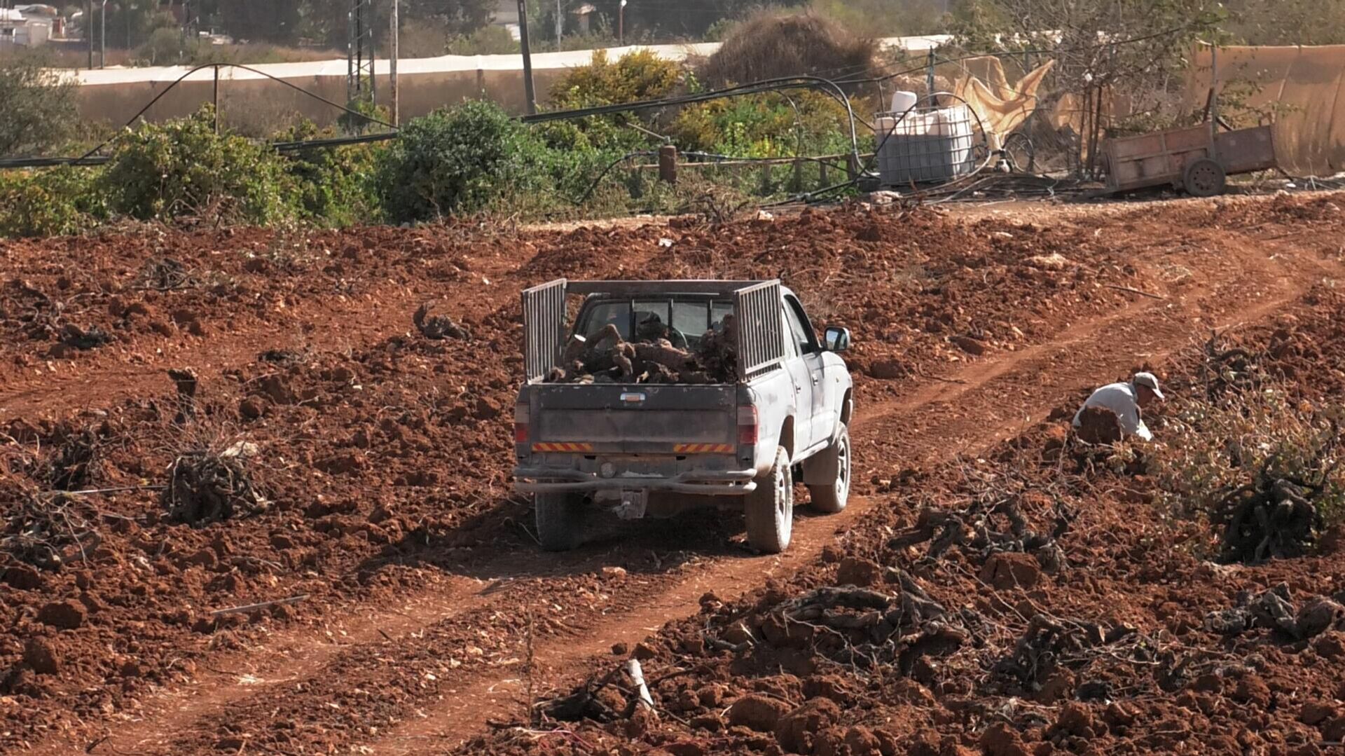 خطة الضم الزاحف تتيح مصادرة الأراضي وربط المستوطنات جنوب الضفة وتغير الجغرافيا - سبوتنيك عربي, 1920, 04.11.2025