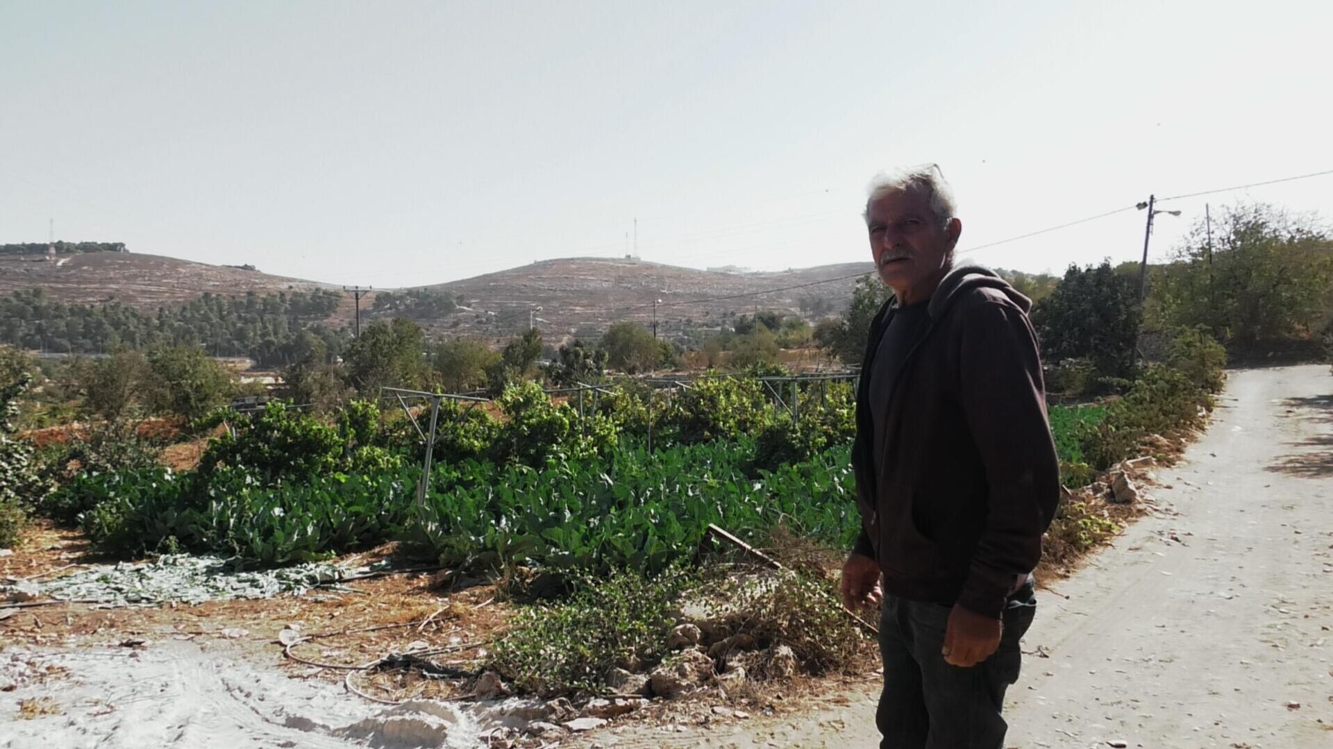 خطة الضم الزاحف تتيح مصادرة الأراضي وربط المستوطنات جنوب الضفة وتغير الجغرافيا - سبوتنيك عربي, 1920, 04.11.2025