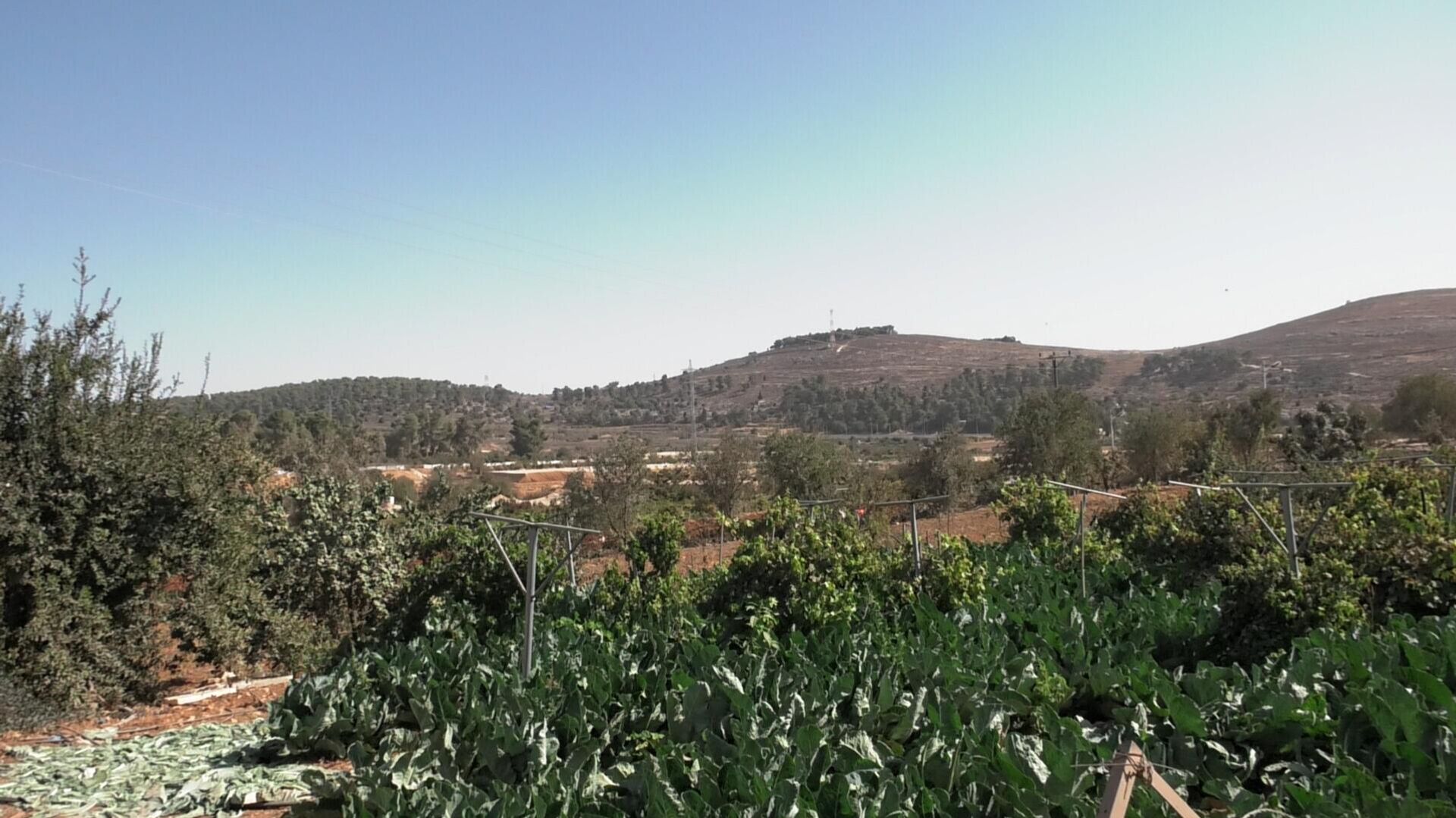 خطة الضم الزاحف تتيح مصادرة الأراضي وربط المستوطنات جنوب الضفة وتغير الجغرافيا - سبوتنيك عربي, 1920, 04.11.2025