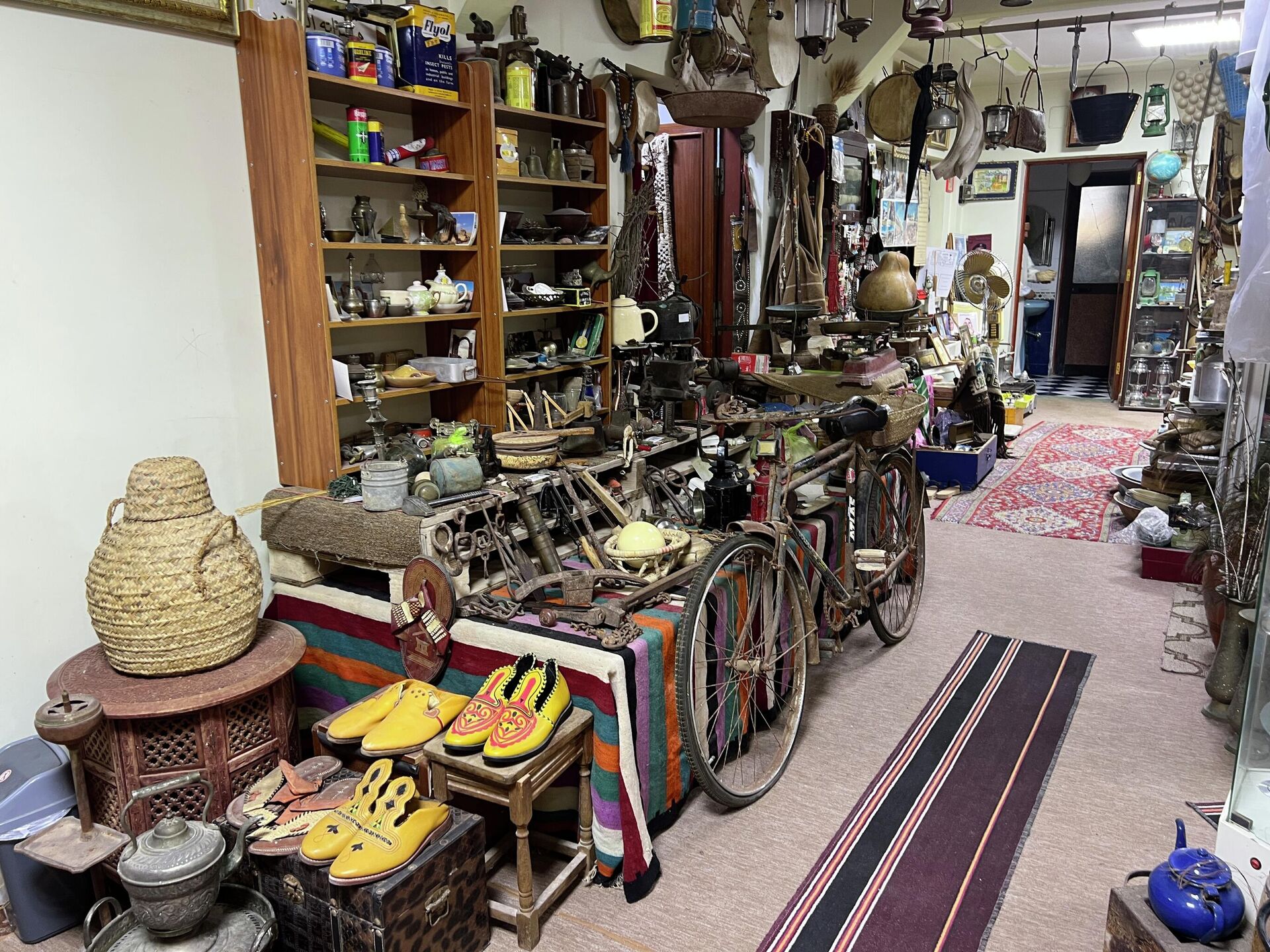 عاشق تراث حوّل بدروم منزله إلى متحف عاشق تراث حوّل بدروم منزله إلى متحف - سبوتنيك عربي, 1920, 06.11.2025