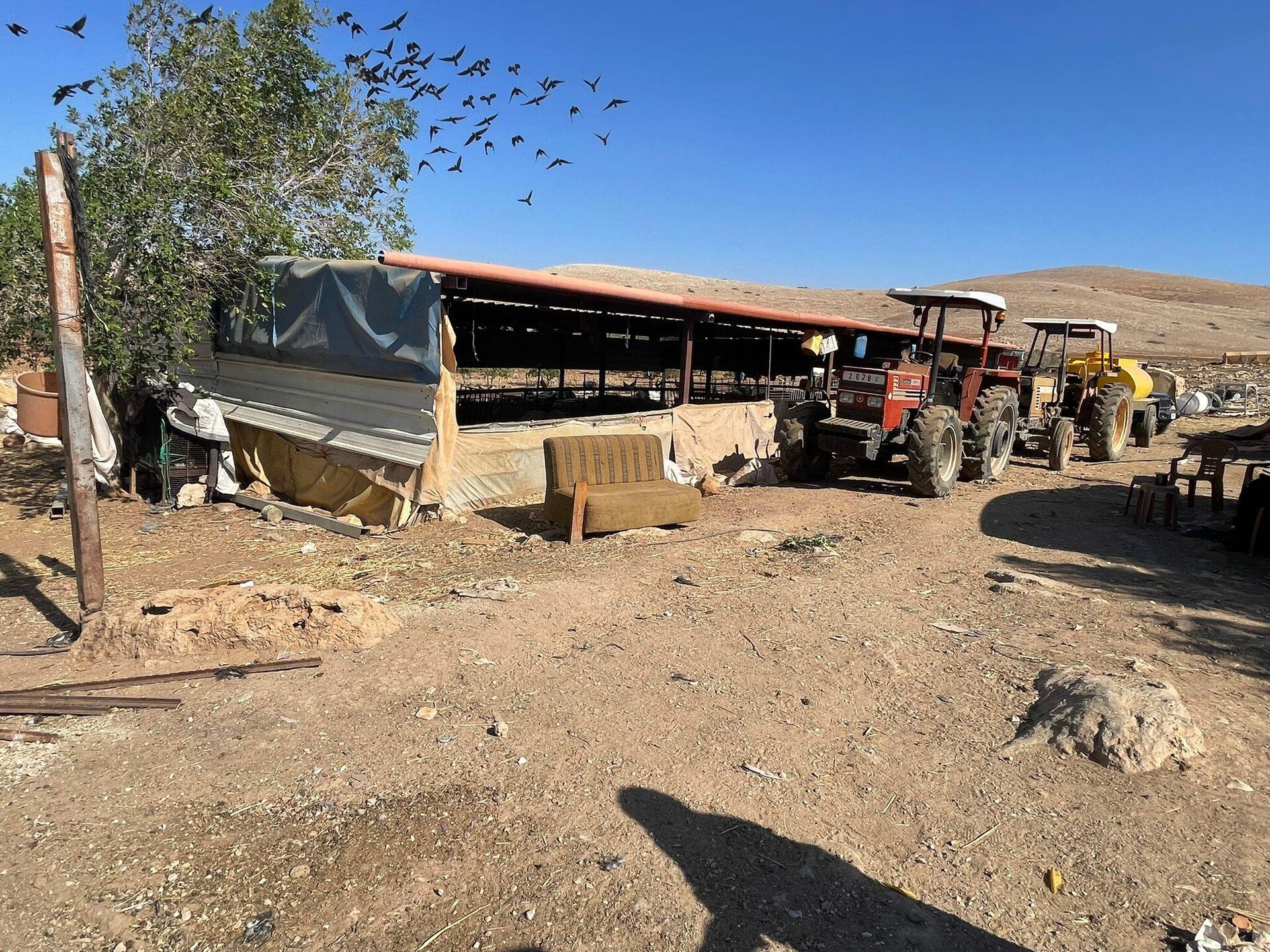 الأغوار الفلسطينية أرض البقاء والصمود تواجه عنف المستوطنين   - سبوتنيك عربي, 1920, 07.11.2025