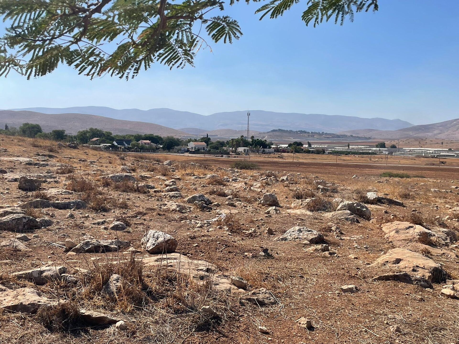 الأغوار الفلسطينية أرض البقاء والصمود تواجه عنف المستوطنين   - سبوتنيك عربي, 1920, 07.11.2025