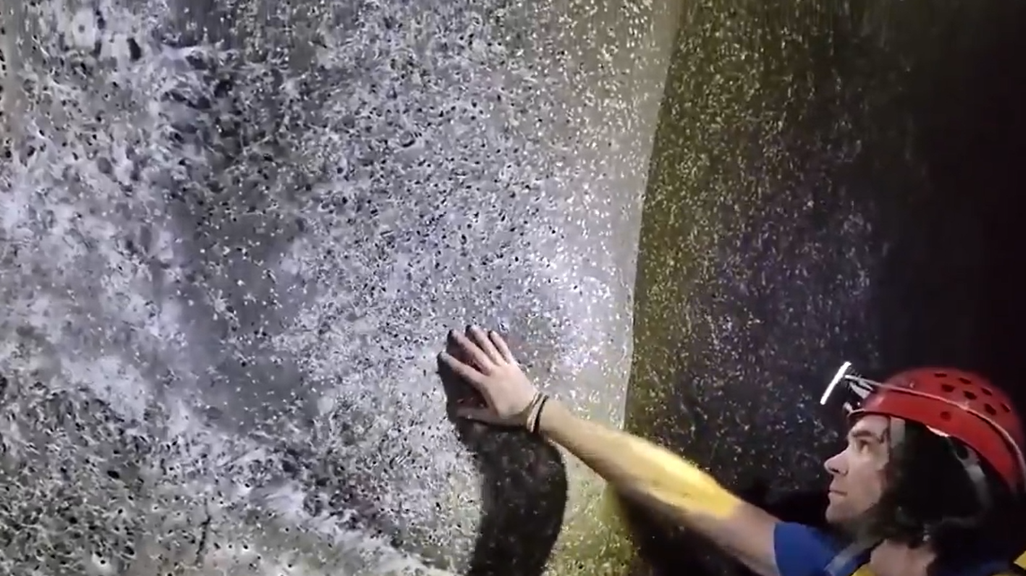 اكتشاف أكبر شبكة في العالم تضم نحو 111 ألف عنكبوت... فيديو