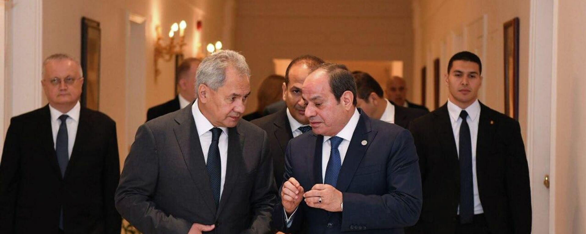 الرئيس المصري عبد الفتاح السيسي مع سكرتير مجلس الأمن الروسي، سيرغي شويغو - سبوتنيك عربي, 1920, 10.11.2025