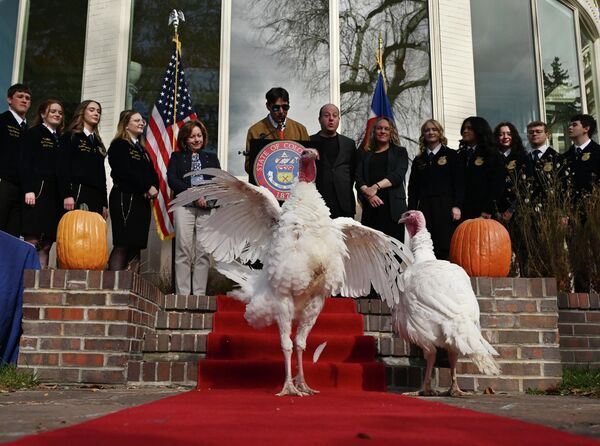 من الحديقة الرئيسية لمقر إقامة الحاكم في قصر &quot;بوتشر&quot;، حيث عفا الحاكم بوليس عن ديكين روميين، خلال حفل العفو السنوي الثالث للديك الرومي في &quot;كولورادو&quot;. - سبوتنيك عربي