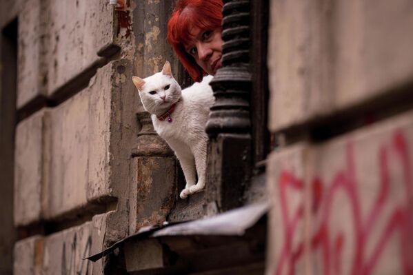 قطة تظهر بجانب امرأة، وتنظرمن نافذة منزل قديم في بوخارست. - سبوتنيك عربي