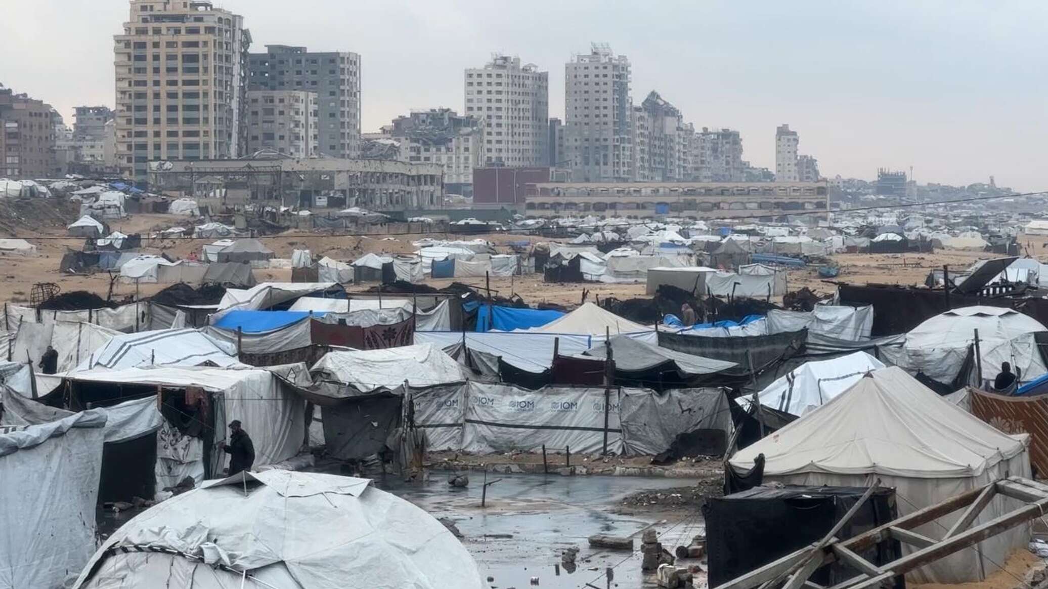 خبير في الشأن الفلسطيني: روسيا قادرة على تغيير "الورقة الأمريكية" في الساحة