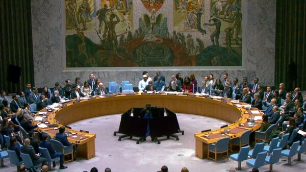 مجلس الأمن الدولي - سبوتنيك عربي