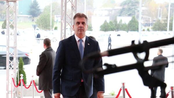 وزير الطاقة الإسرائيلي إيلي كوهين - سبوتنيك عربي