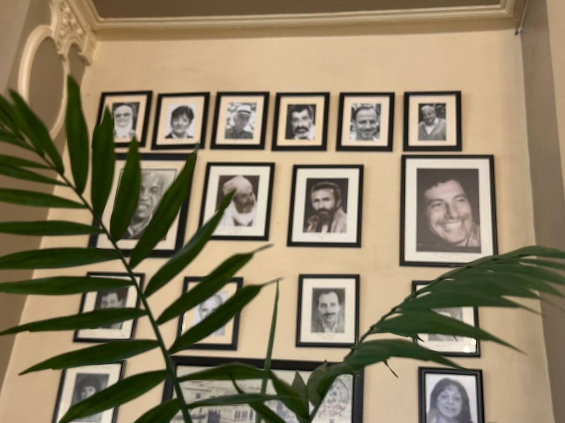 مقهى طونطونفيل.. شاهد حي على تاريخ الجزائر  - سبوتنيك عربي, 1920, 20.11.2025