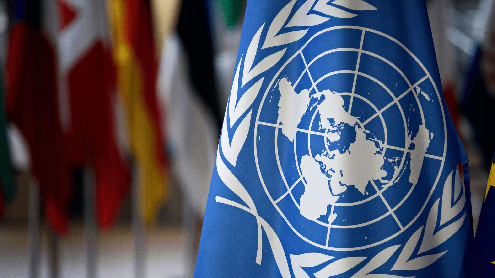 الأمم المتحدة: كل 10 دقائق تقتل امرأة على يد شخص مقرب