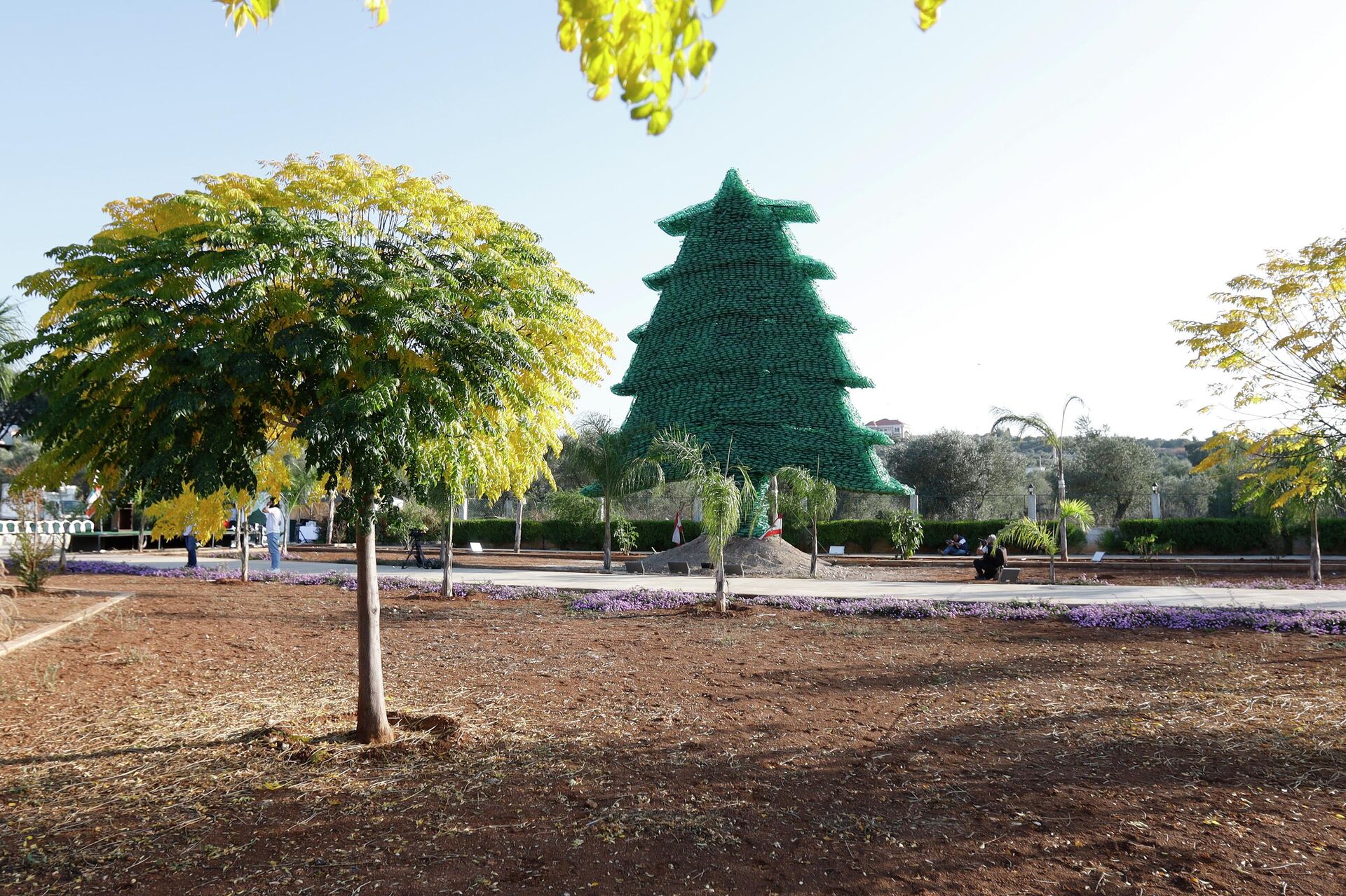 كارولين شبطيني تحصد لقبها السادس في غينيس بأكبر أرزة بلاستيكية في العالم كارولين شبطيني تحصد لقبها السادس في غينيس بأكبر أرزة بلاستيكية في العالم - سبوتنيك عربي, 1920, 24.11.2025