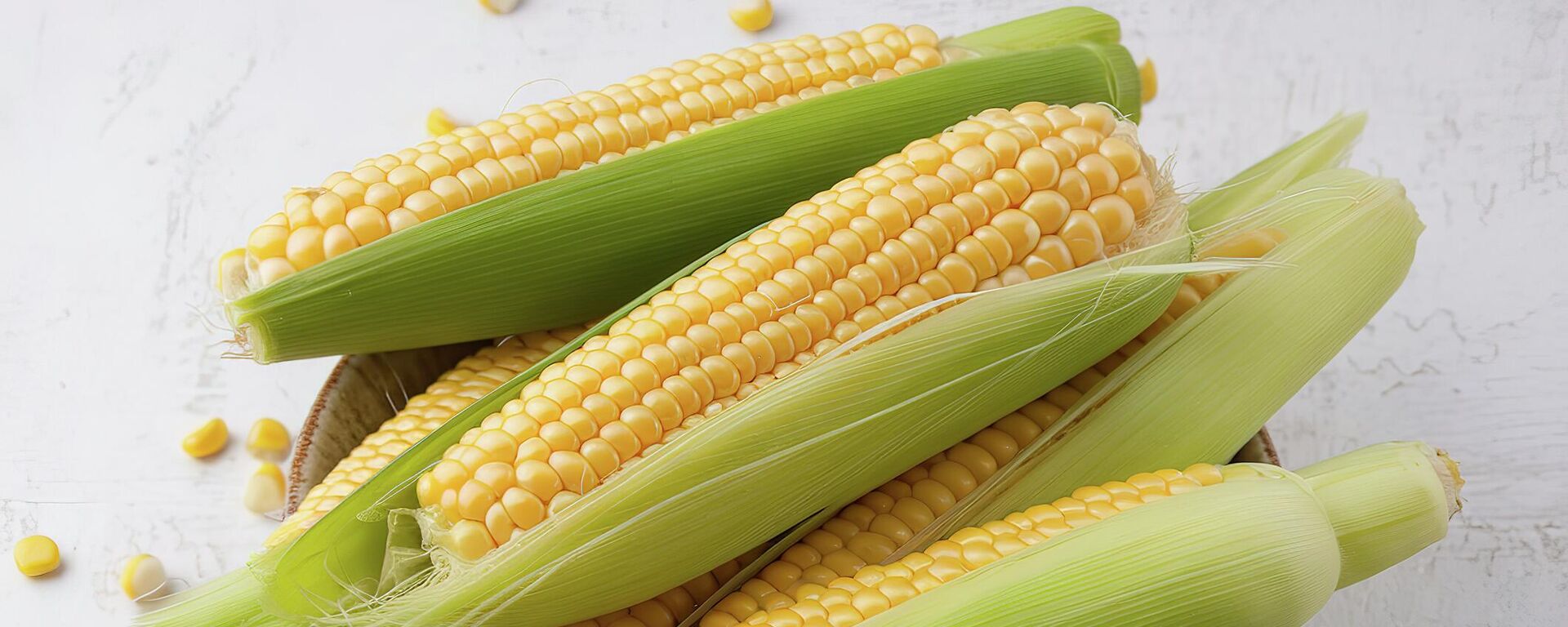 نبات الذرة - سبوتنيك عربي, 1920, 25.11.2025