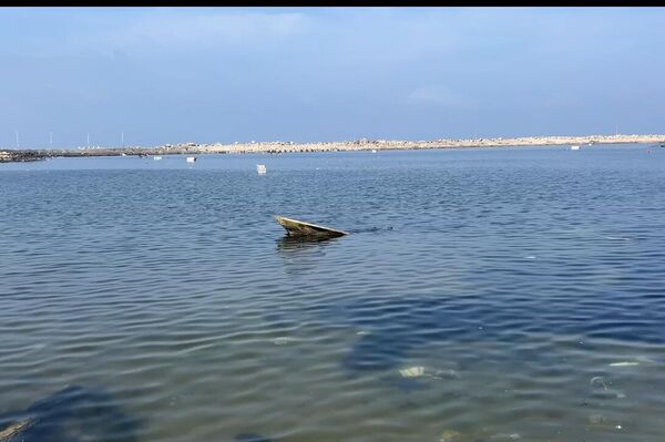 في ظل أزمة المياه...عباب البحر يصبح الخيار المتاح للنازحين في غزة  - سبوتنيك عربي