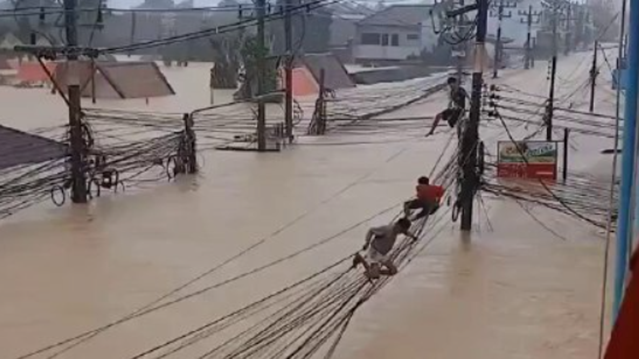 هربا من الفيضانات.. سكان يتنقلون عبر الأسلاك في تايلاند.. فيديو