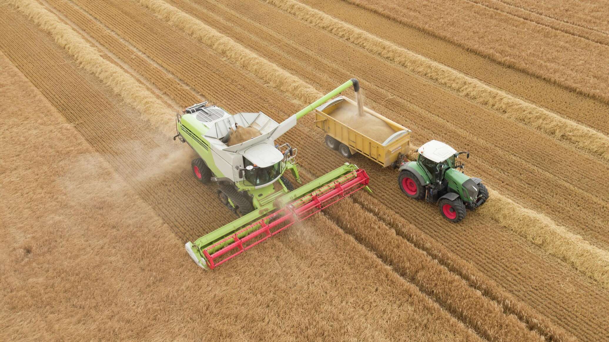 وزير الزراعة الإيراني: إيران تريد أن تصبح مركزا غذائيا في الشرق الأوسط بالتعاون مع روسيا