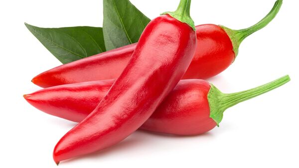 الفليفلة الحارة - سبوتنيك عربي