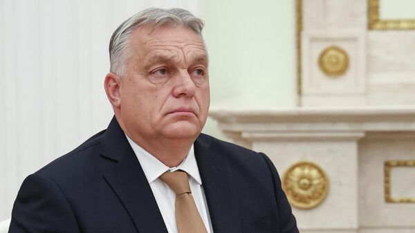  رئيس الوزراء المجري فيكتور أوربان - سبوتنيك عربي