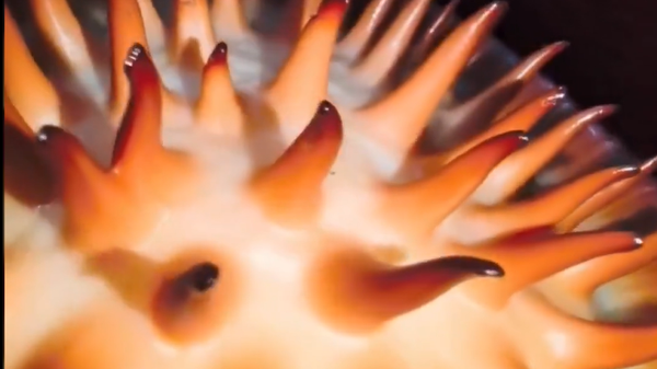  - سبوتنيك عربي