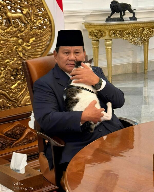 الرئيس الإندونيسي برابوو سوبيانتو مع قطته بوبي كيرتانيجارا - سبوتنيك عربي