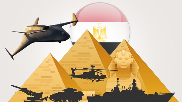  - سبوتنيك عربي