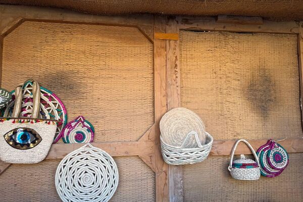 ورثتها عن قدماء المصريين..سيدة ستينية حولت قريتها الريفية لـقلعة صناعة الخوص ورثتها عن قدماء المصريين..سيدة ستينية حولت قريتها الريفية لـقلعة صناعة الخوص - سبوتنيك عربي