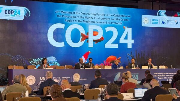 انطلاق فعاليات الاجتماع cop 24 بالقاهرة  - سبوتنيك عربي