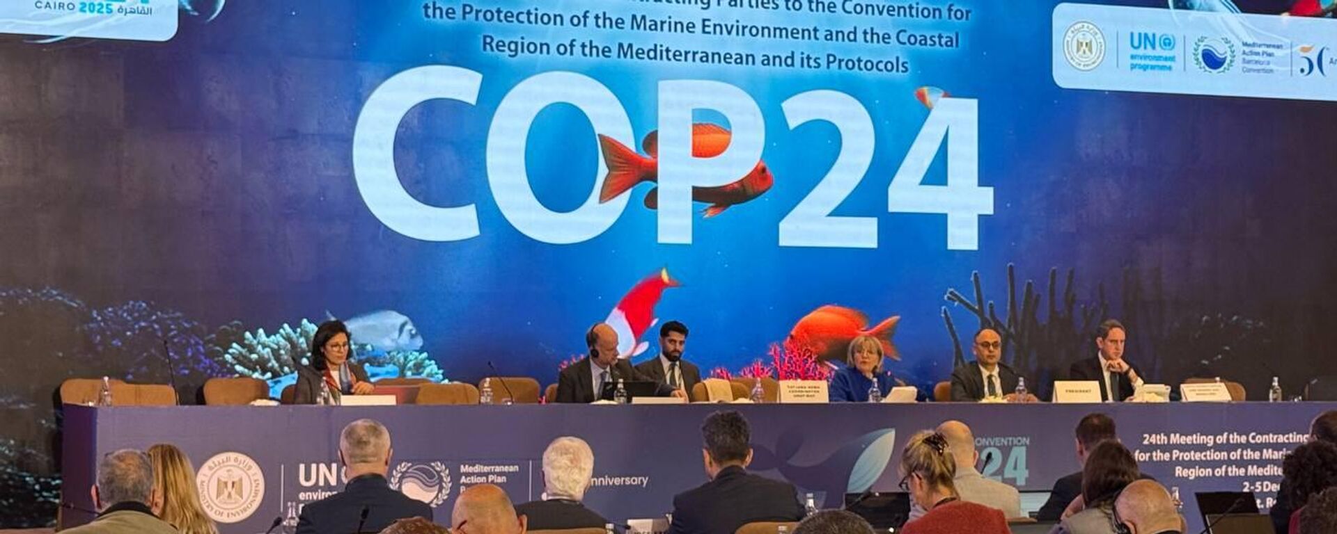 انطلاق فعاليات الاجتماع cop 24 بالقاهرة  - سبوتنيك عربي, 1920, 02.12.2025