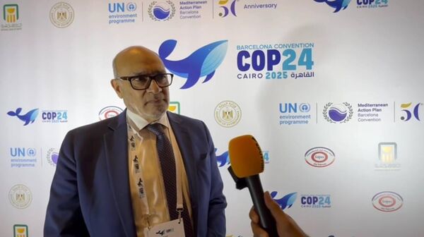 الدكتور عماد عدلي رئيس المكتب العربى للشباب والبيئة المنسق العام للشبكة العربية للبيئة والتنمية رائد - سبوتنيك عربي