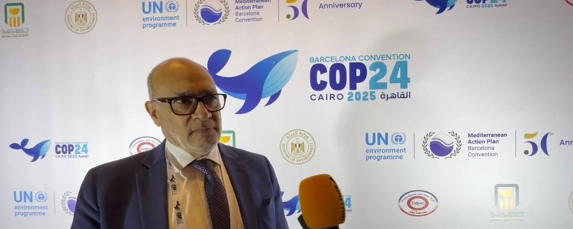 الدكتور عماد عدلي رئيس المكتب العربى للشباب والبيئة المنسق العام للشبكة العربية للبيئة والتنمية رائد - سبوتنيك عربي, 1920, 02.12.2025