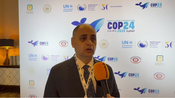 الدكتور علي أبو سنه رئيس جهاز شؤون البيئة المصري - سبوتنيك عربي