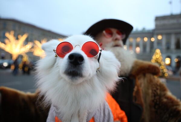 رجل وكلب يلتقطان صورة على خلفية أضواء رأس السنة الجديدة في أحد شوارع سانت بطرسبرغ. رجل وكلب يلتقطان صورة على خلفية أضواء رأس السنة الجديدة في أحد شوارع سانت بطرسبرغ. - سبوتنيك عربي