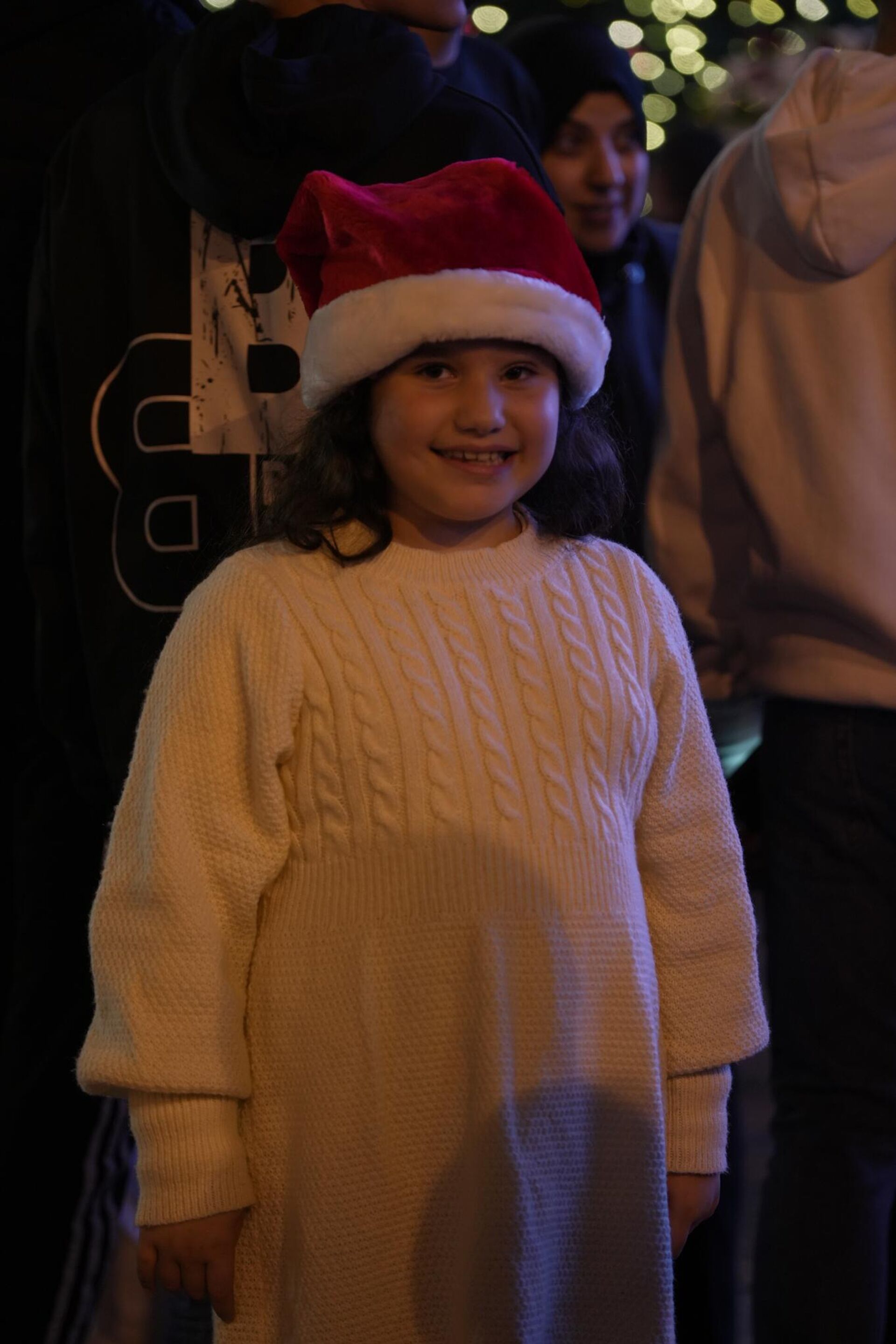 لأول مرة منذ عامين... بيت لحم تضيء شجرة الميلاد لأول مرة منذ عامين... بيت لحم تضيء شجرة الميلاد - سبوتنيك عربي, 1920, 07.12.2025