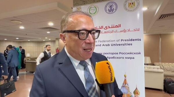 مستشار رئيس جامعة حلوان للفنون والثقافة في مصر، الدكتور أشرف رضا - سبوتنيك عربي