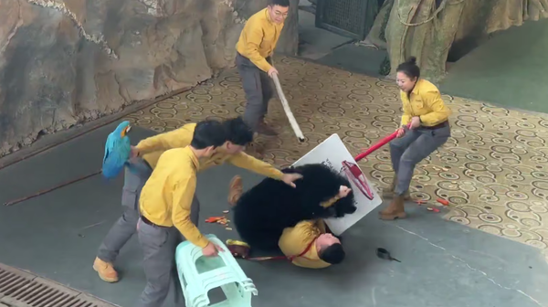  - سبوتنيك عربي