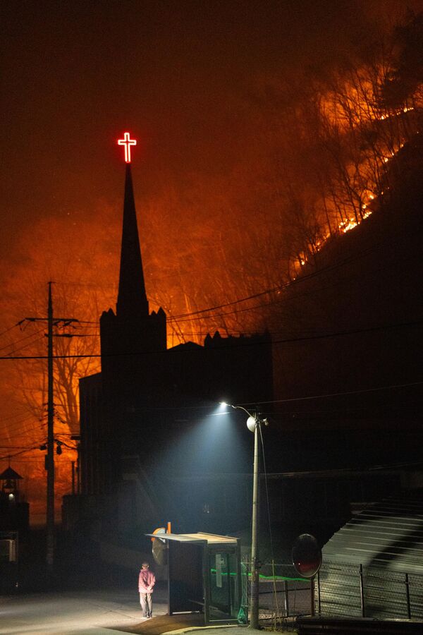 صورة لحرائق الغابات المنتشرة في كوريا الجنوبية، مع تمدد الحرائق إلى المناطق المجاورة بفعل قوة الرياح. - سبوتنيك عربي
