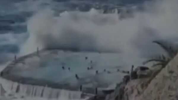  - سبوتنيك عربي