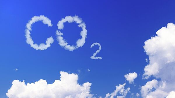 ثاني أكسيد الكربون - سبوتنيك عربي