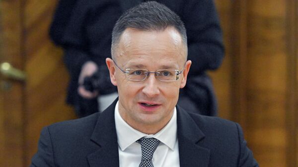  وزير الخارجية المجري بيتر سيارتو - سبوتنيك عربي