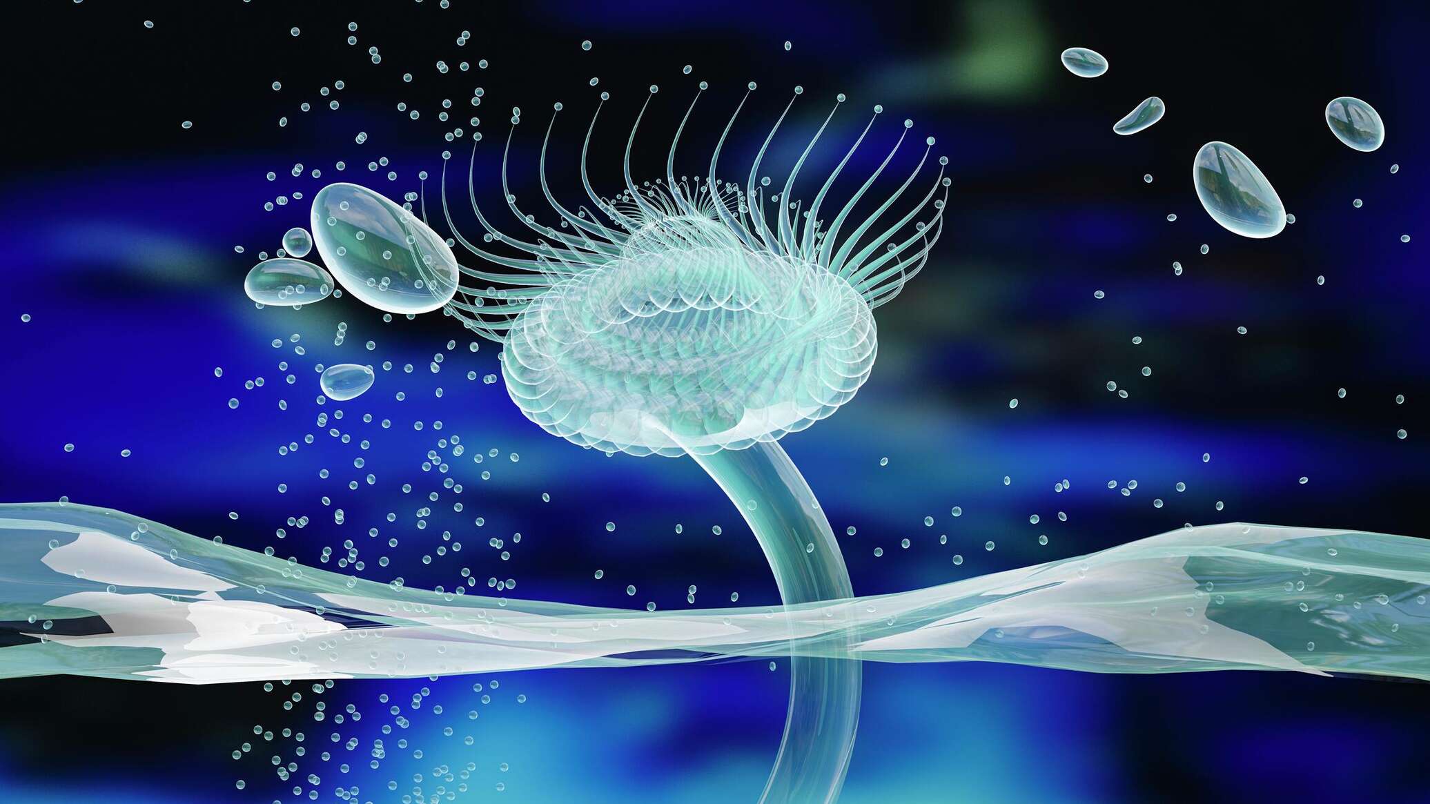 علماء روس يقترحون علاج جديد للحروق