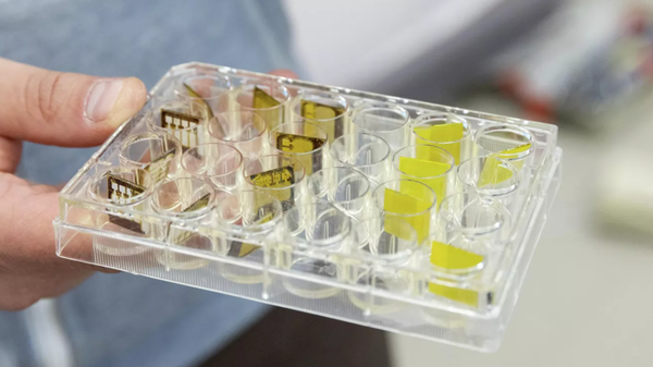 علماء روس يبكرون أجهزة استشعار متينة وحساسة مناسبة للفضاء والطب - سبوتنيك عربي