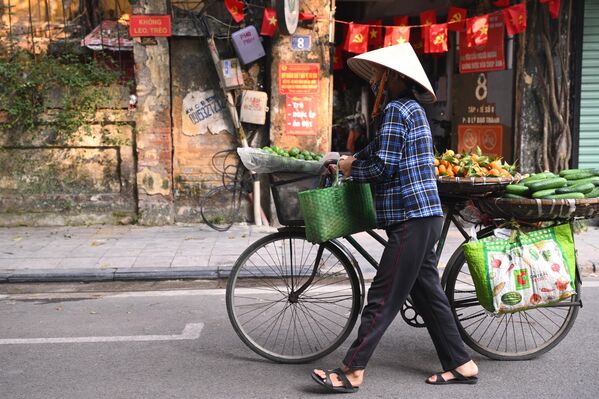امرأة تبيع الخضراوات على متن دراجتها الهوائية المتنقلة في هانوي، في فيتنام. - سبوتنيك عربي