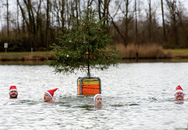 3 رجال وامرأة يرتدون قبعات بابا نويل، ويسبحون في بحيرة &quot;شفارتز/الغابة السوداء&quot;، في درجات حرارة منخفضة للغاية، وضمن البحيرة تطفو شجرة عيد الميلاد على عوامة. - سبوتنيك عربي