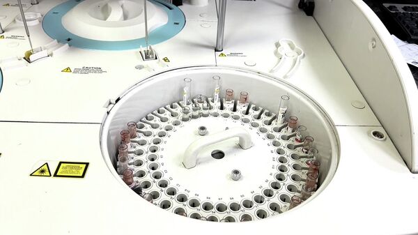  - سبوتنيك عربي